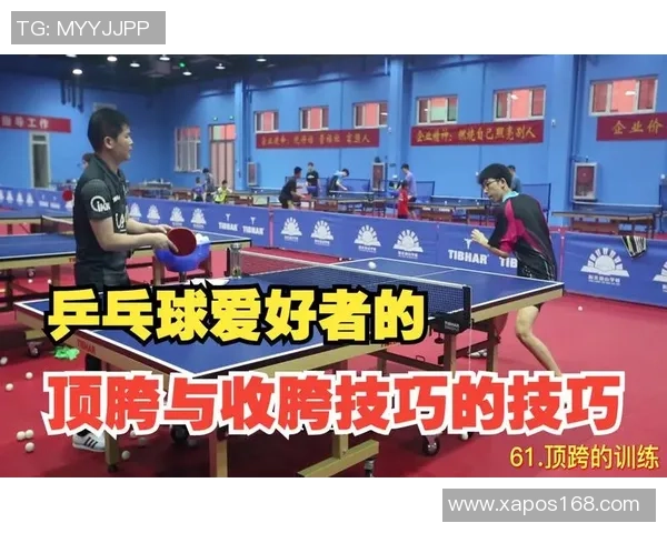 乒乓球新手必看:快速掌握技巧与战术的全面入门指南 乒乓球新手必看:快速掌握技巧与战术的全面入门指南
